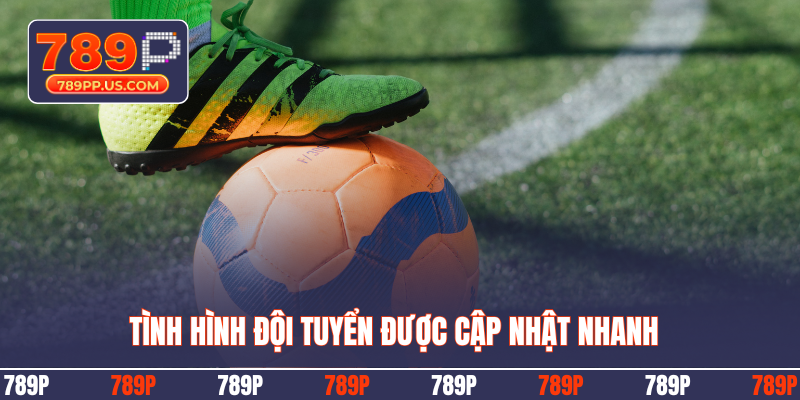 Tình hình đội tuyển được cập nhật nhanh