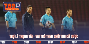 Trợ lý trọng tài